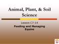 Animal, Plant, PowerPoint PPT Presentation
