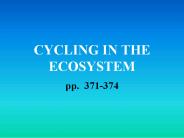 CYCLING IN THE ECOSYSTEM