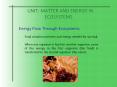 UNIT: MATTER AND ENERGY IN ECOSYSTEMS PowerPoint PPT Presentation
