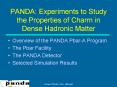 PANDA: Experiments to Study the Properties of Charm in Dense Hadronic Matter PowerPoint PPT Presentation