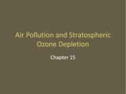 Air Pollution and Stratospheric Ozone Depletion
