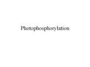 Photophosphorylation