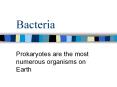 Bacteria PowerPoint PPT Presentation