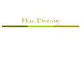 Plant Diversity PowerPoint PPT Presentation