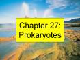 Chapter 27: Prokaryotes PowerPoint PPT Presentation