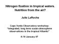 Nitrogen fixation in tropical waters. PowerPoint PPT Presentation