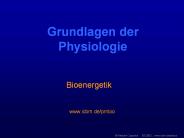 Kein Folientitel
