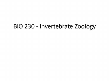 BIO 230 - Invertebrate Zoology