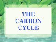 THE CARBON CYCLE