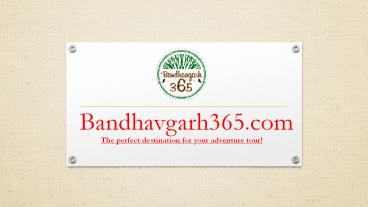 All Adventure Activities Tour in Bandhavgarh National Park (1)