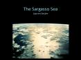 The Sargasso Sea Lauren Seyler PowerPoint PPT Presentation
