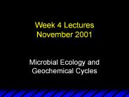 Week 4 Lectures November 2001