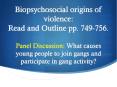 Biopsychosocial origins of violence: Read and Outline pp. 749-756. Panel Discussion: What causes young people to join gangs and participate in gang activity? PowerPoint PPT Presentation