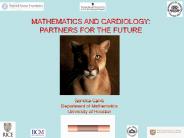 MATHEMATICS AND CARDIOLOGY:
