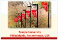 Temple University Philadelphia, Pennsylvania, USA http://www.temple.edu PowerPoint PPT Presentation
