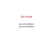Eau totale