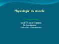 Physiologie du muscle PowerPoint PPT Presentation