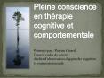 Pleine conscience en th PowerPoint PPT Presentation
