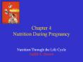 Chapter 4 Nutrition During Pregnancy PowerPoint PPT Presentation
