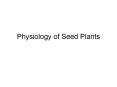 Physiology of Seed Plants PowerPoint PPT Presentation