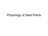 Physiology of Seed Plants
