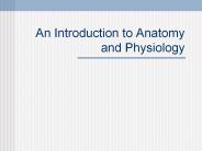 An%20Introduction%20to%20Anatomy%20and%20Physiology