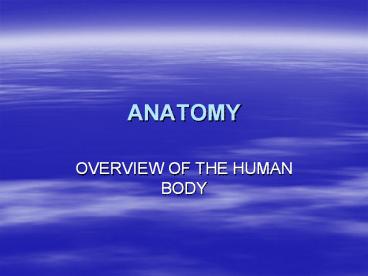 ANATOMY