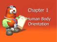 Human Body Orientation PowerPoint PPT Presentation