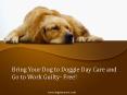 Bring Your Dog to Doggie Day Care and Go to Work Guilty- Free! PowerPoint PPT Presentation