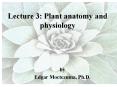 Lecture 3: Plant anatomy and physiology PowerPoint PPT Presentation