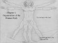 Chapter 1: Organization of the Human Body PowerPoint PPT Presentation