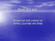 Meet the sea