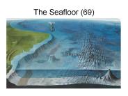 The Seafloor (69)