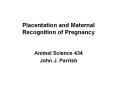 Placentation%20and%20Maternal%20Recognition%20of%20Pregnancy PowerPoint PPT Presentation