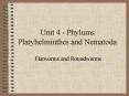 Unit 4 - Phylums Platyhelminthes and Nematoda PowerPoint PPT Presentation