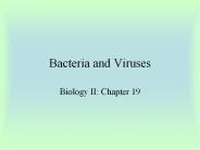 Bacteria%20and%20Viruses