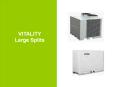 VITALITY Large Splits PowerPoint PPT Presentation
