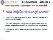 Procedimento sperimentale di Mendel