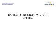 CAPITAL DE RIESGO O VENTURE CAPITAL