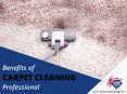 Carpet Cleaning in Boise – The Need for Professionals PowerPoint PPT Presentation