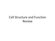 Cell Structure and Function Review