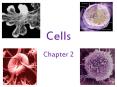 Cells PowerPoint PPT Presentation