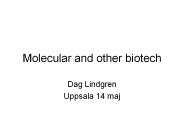 Molecular and other biotech
