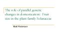 The role of parallel genetic changes in domestication: Fruit size in the plant family Solanaceae PowerPoint PPT Presentation