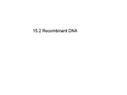 15.2 Recombinant DNA
