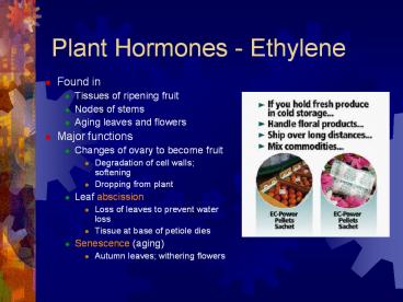 Plant Hormones - Ethylene