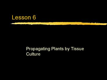 Propagating Plants by Tissue Culture