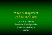 Weed%20Management%20on%20Putting%20Greens