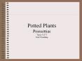 Potted Plants PowerPoint PPT Presentation