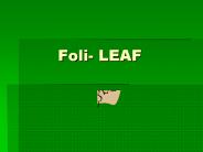 Foli- LEAF